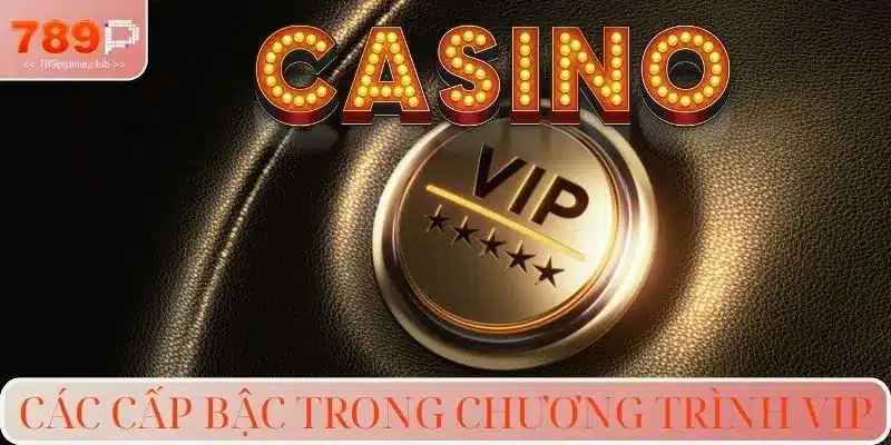 Các cấp bậc trong chương trình VIP