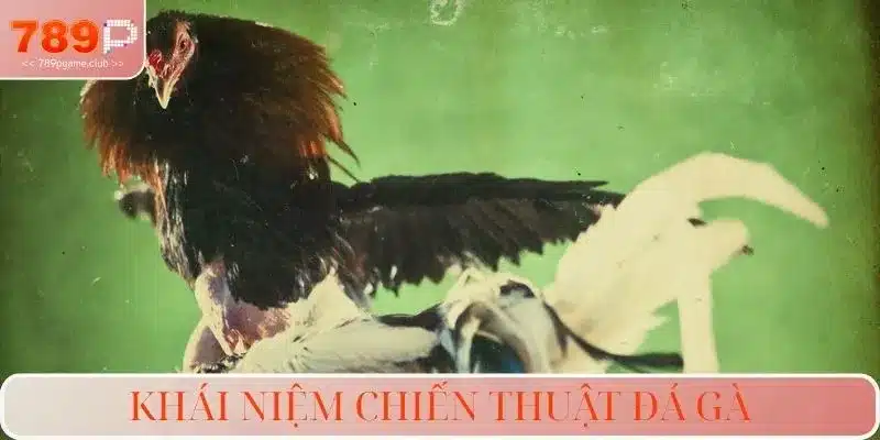 Khái niệm chiến thuật đá gà