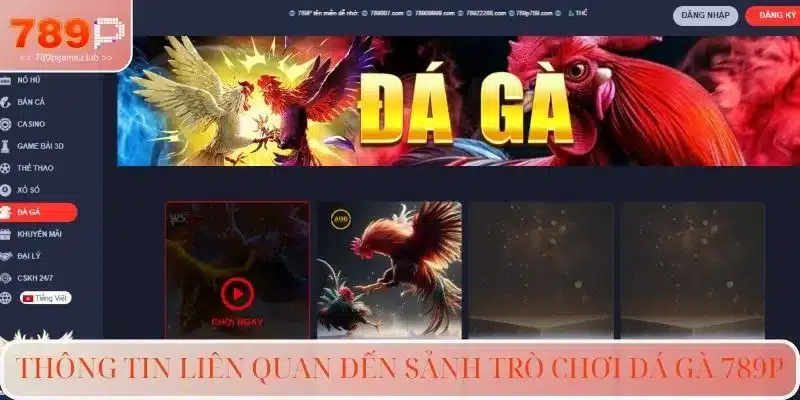 Thông tin liên quan đến sảnh trò chơi đá gà 789P