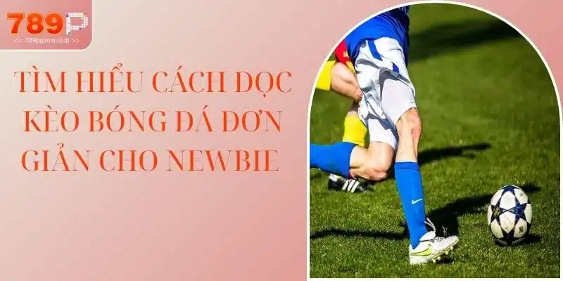 Tìm hiểu cách đọc kèo bóng đá đơn giản cho newbie 